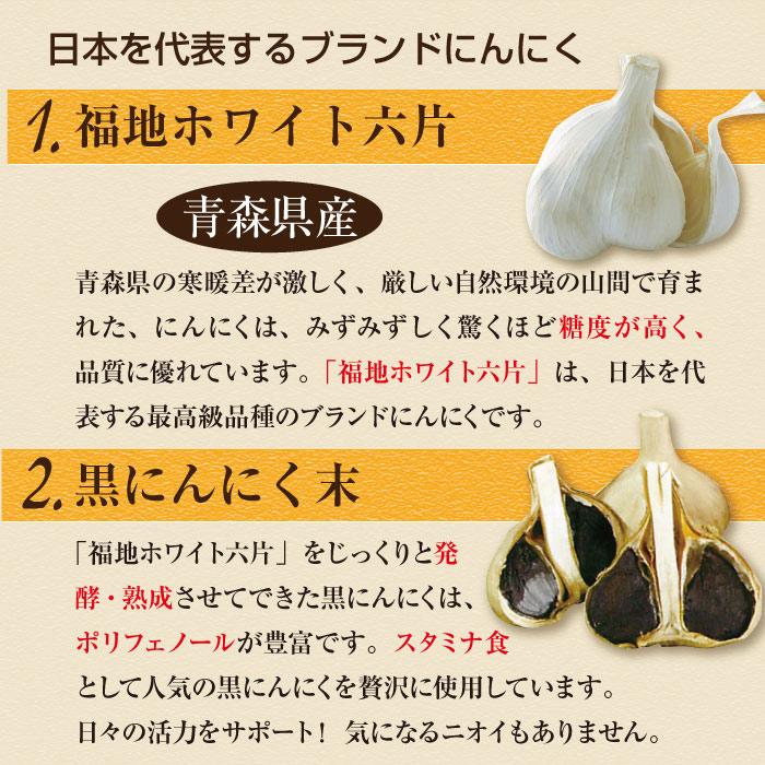 スッポン にんにく 卵黄油 プレミアム 60粒（約1ヶ月分) ニンニク卵黄 エンチーム 国産 健康食品 ギフト 【送料無料】 |  | 04