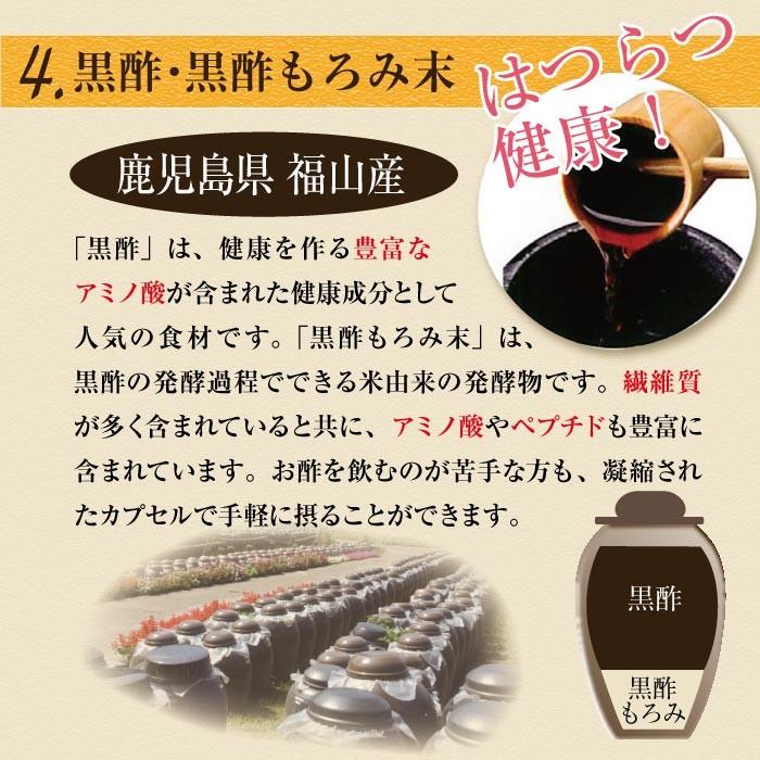 スッポン にんにく 卵黄油 プレミアム 60粒（約1ヶ月分) ニンニク卵黄 エンチーム 国産 健康食品 ギフト 【送料無料】 |  | 06