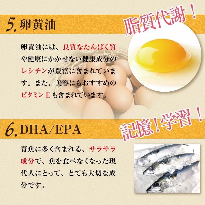 スッポン にんにく 卵黄油 プレミアム 60粒（約1ヶ月分) ニンニク卵黄 エンチーム 国産 健康食品 ギフト 【送料無料】 |  | 07