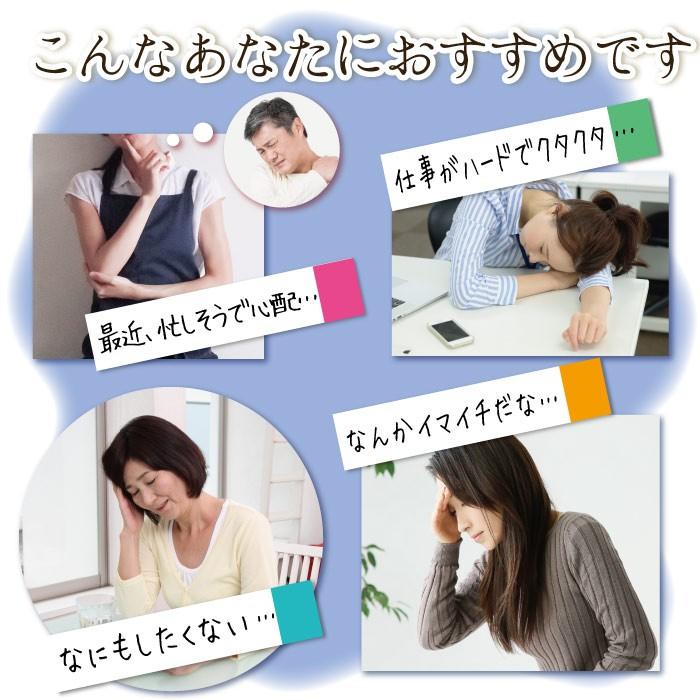 スッポン にんにく 卵黄油 プレミアム 60粒（約1ヶ月分) ニンニク卵黄 エンチーム 国産 健康食品 ギフト 【送料無料】 |  | 08