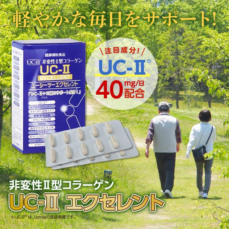 Uc Iiエクセレント 60カプセル入り 約１ヶ月分 X3個セット N アセチルグルコサミン Ii型コラーゲン 配合 サプリメント Uc2ex 3 シナプスyahoo 店 通販 Yahoo ショッピング