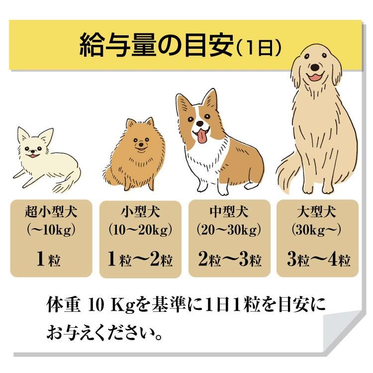 ヨタヨタとんでいけ 粒入り メール便で送料無料 犬猫用サプリメント Yotayota 1 シナプスyahoo 店 通販 Yahoo ショッピング