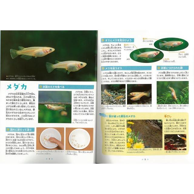 バーゲンブック 水の生きもの−教科書に出てくる生きもの観察図鑑５ |  | 03