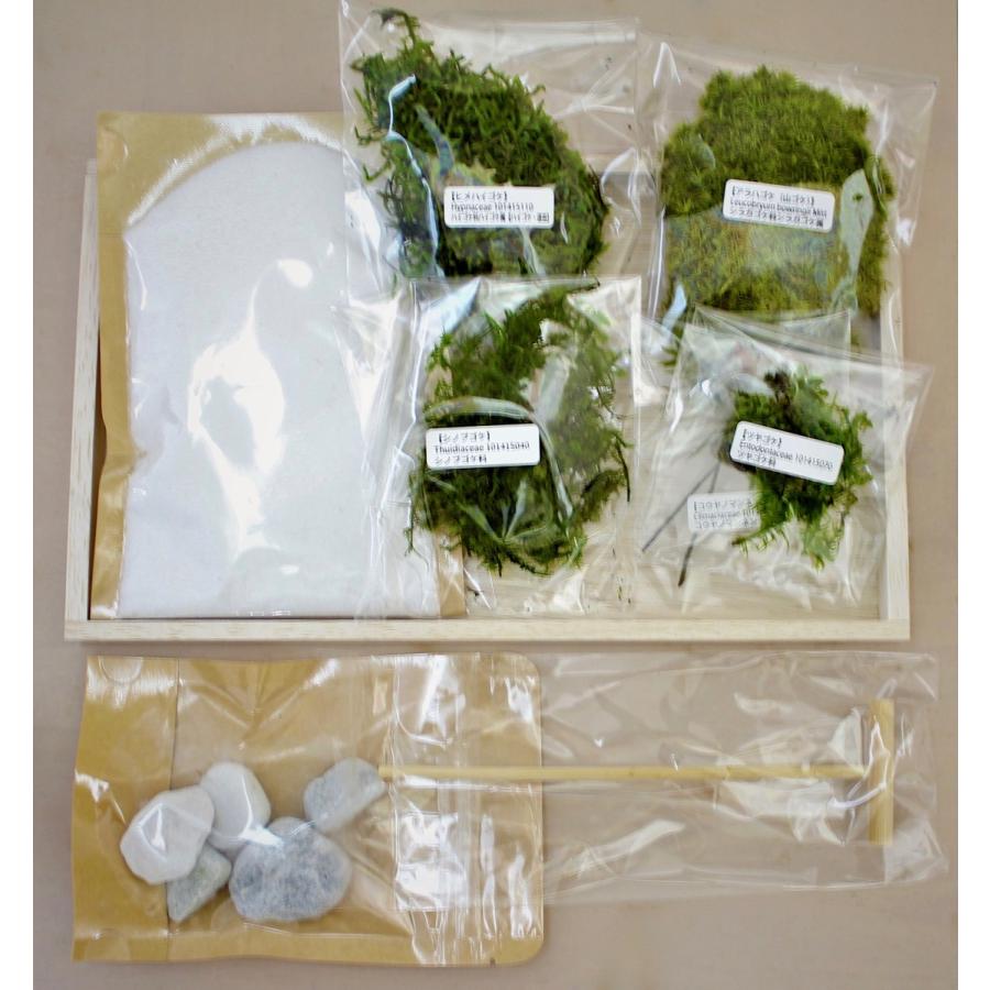 枯山水キッド 庭 ミニチュア 作り方 石 テーブル 苔ぷり きいち 通販 Yahoo ショッピング