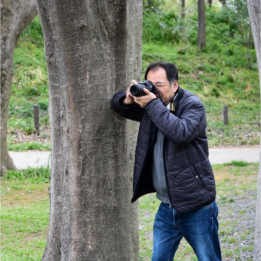 奇跡の写真 心の情景 秋元隆良 インテリアフォト |  | 01