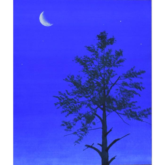 掛け軸 森の朝 モダン オシャレ インテリア 堂画廊　 |  | 01