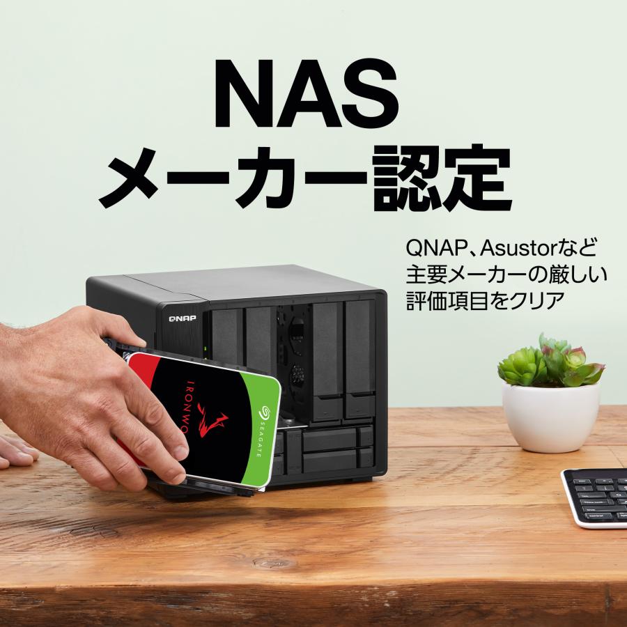 Seagate（シーゲイト） IronWolf Pro 3.5インチ 6TB 内蔵