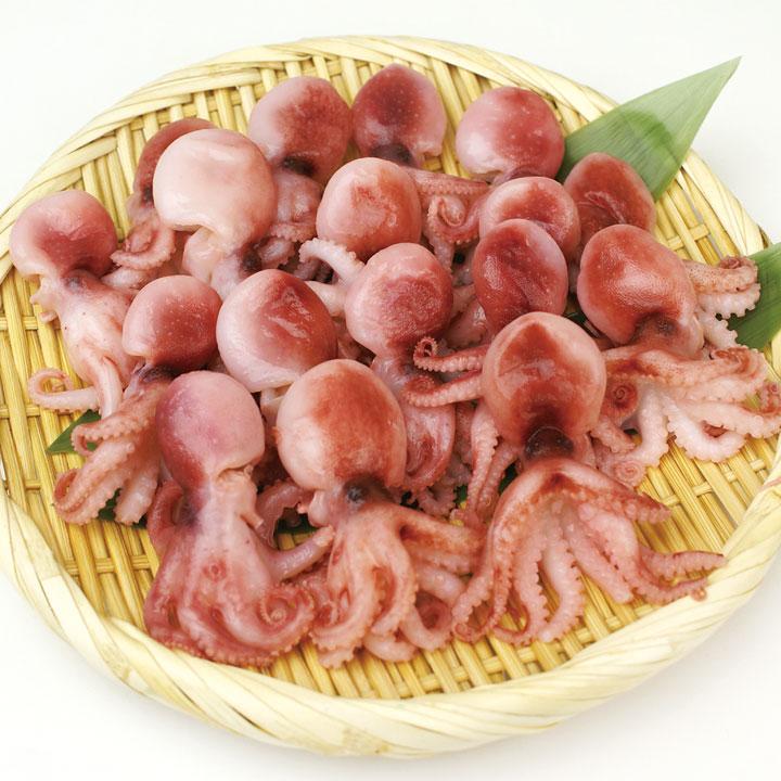 冷凍食品 業務用 ボイルいいだこ(S) 1kg(約50杯入) 10934 蛸 煮物 たこ ボイル｜syokusai-netcom｜03