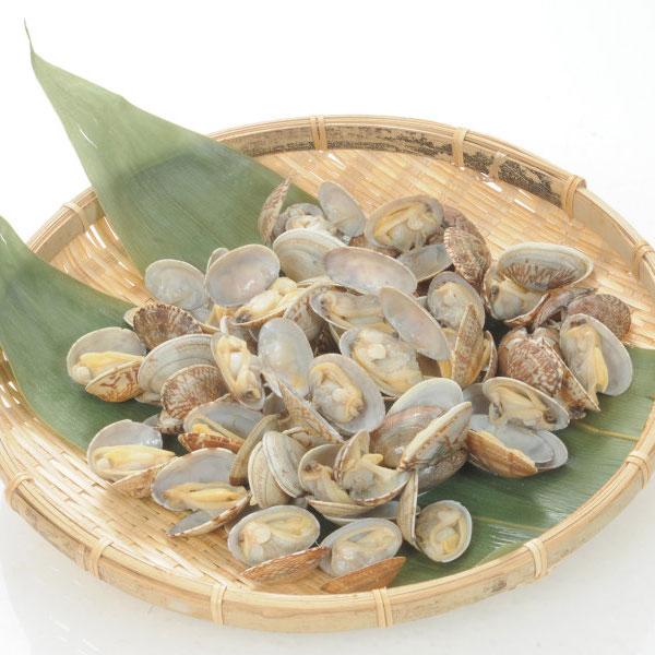 冷凍食品 業務用 殻付あさり 500g(51-60粒入) 19581 砂抜 真空 貝 カイ