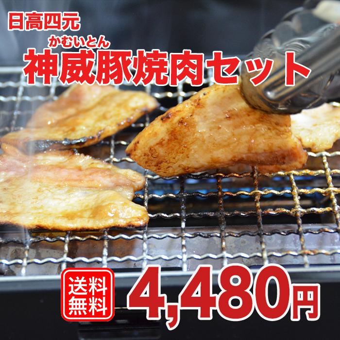 324円 ギフ 包装 焼肉 セット 国産 バーベキュー 肉 q 豚肉 豚バラ 国産焼肉