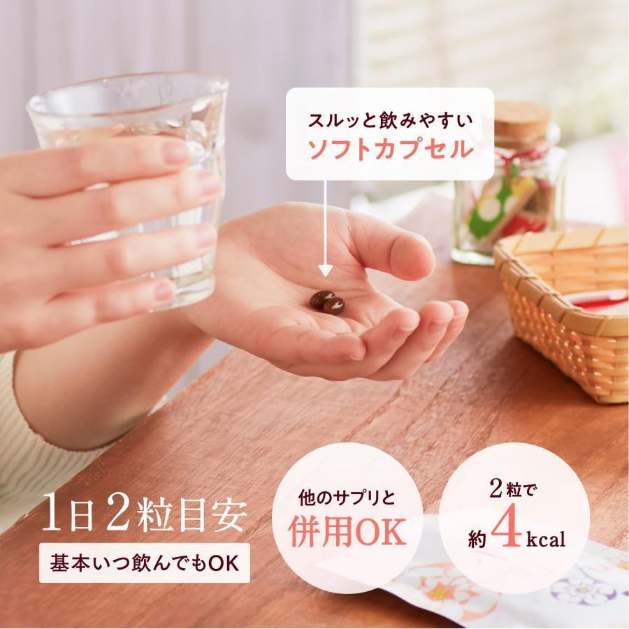 すっぽん小町62粒【4袋】 ていねい通販 すっぽん小町 元気とキレイを応援 サプリ 62粒 (1