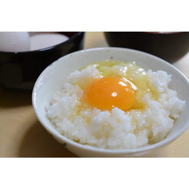 G味の素(S) 20kg箱 U 業務用 味の素 業務用 20kg 5/21味の素 味の素