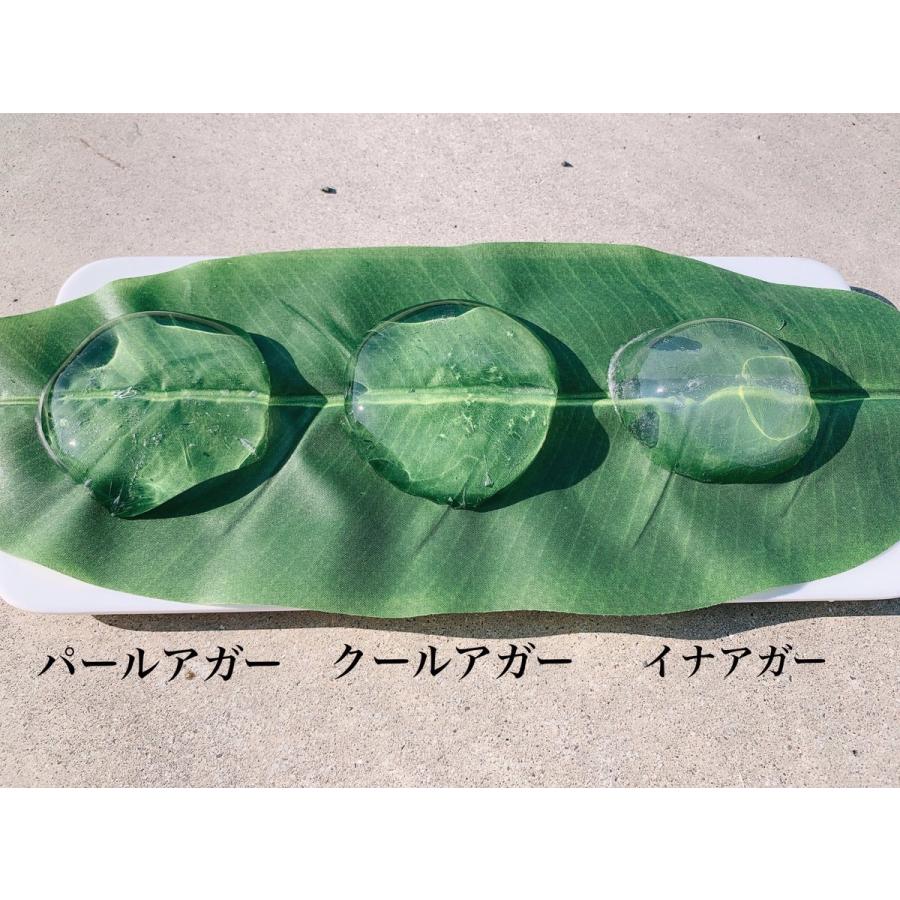 新田ゼラチン クールアガー 500g : 栄養ケアショップ - 通販 - Yahoo!ショッピング