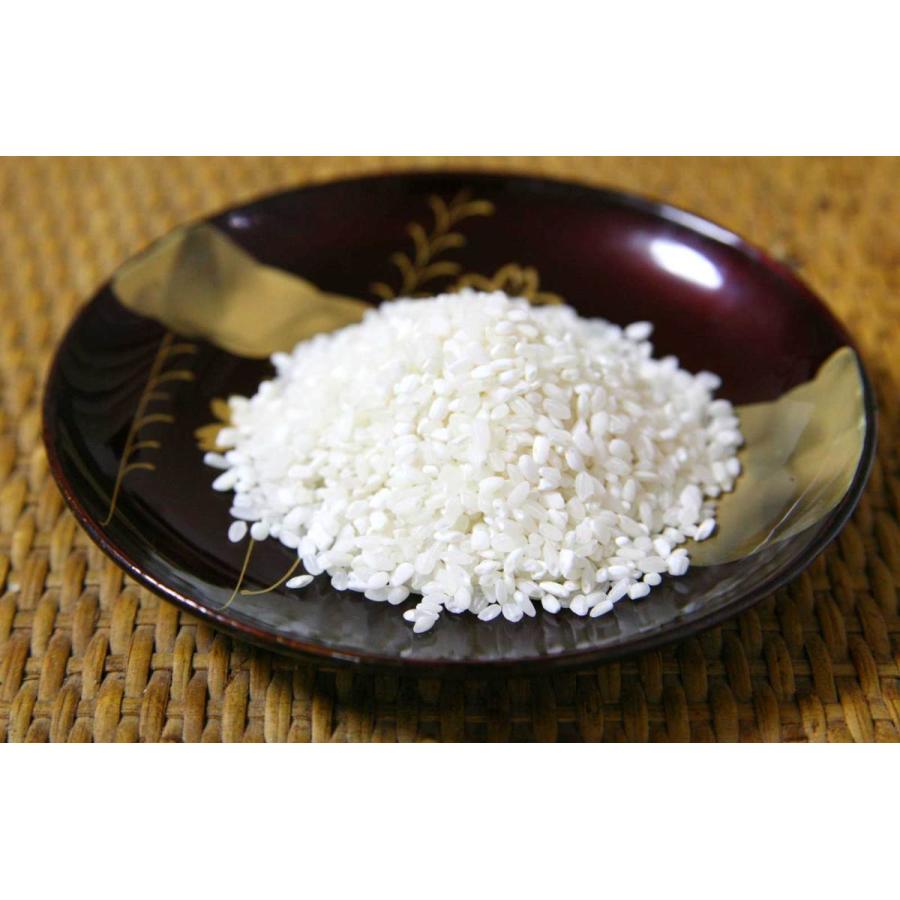 コシヒカリ 新米 令和6年度産 福井県産ハナエチゼン白米10キロ コシヒカリ 新米 令和6年度産 福井県産ハナエチゼン白米10キロ
