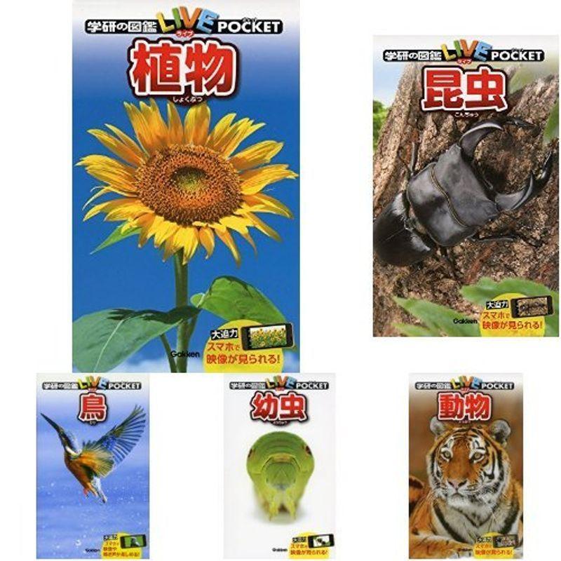 直販超高品質 学研の図鑑liｖeポケットシリーズ 7冊セット 植物 昆虫 動物 幼虫 鳥 危険有毒生物 恐竜 クリアランス特販 Miracleleaffl Com