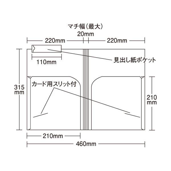 ds-(まとめ) ハピラ カルテホルダー ダブルポケットA4ヨコ KHW50 1パック(50枚) 〔×5セット〕_1