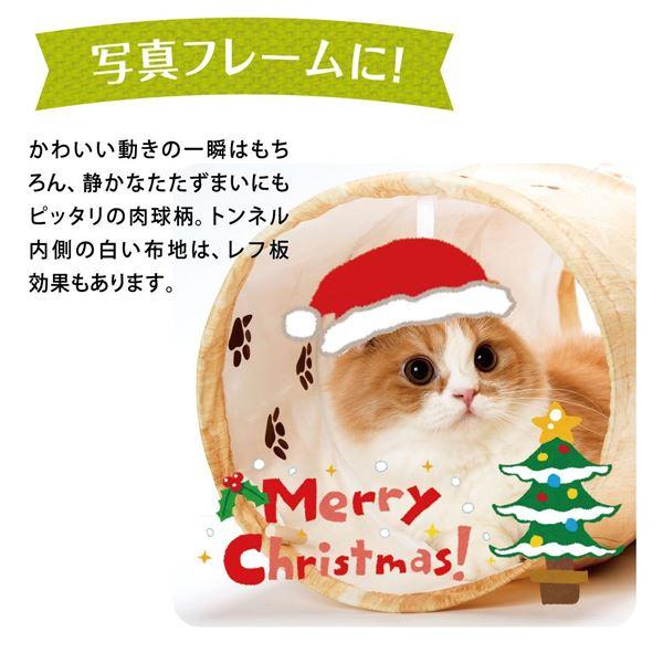 （まとめ）キャットトンネルスパイラル 木目柄（ペット用品）〔&times;12セット〕