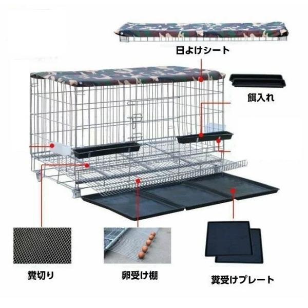 ds-大型 鳥かご バードケージ 鳥籠 高さ650×幅1200×奥行500mm 烏骨鶏 鶏_2