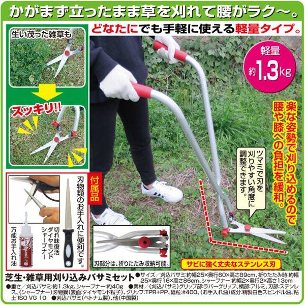 ds-芝生・雑草刈り込みバサミセット_5