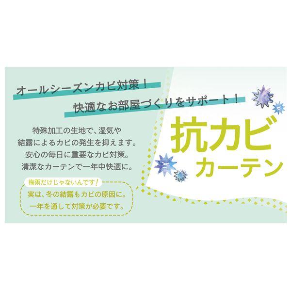 ds-レースカーテン 幅150cm×丈258cm ホワイト 1枚 洗える 日本製 アジャスターフック UVカット 抗カビ 遮熱 断熱 保温 ブレラ_3