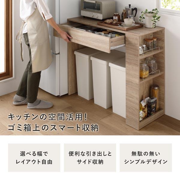 ds-ゴミ箱上 収納カウンター 幅98.5cm ナチュラル 引き出し付 棚付き