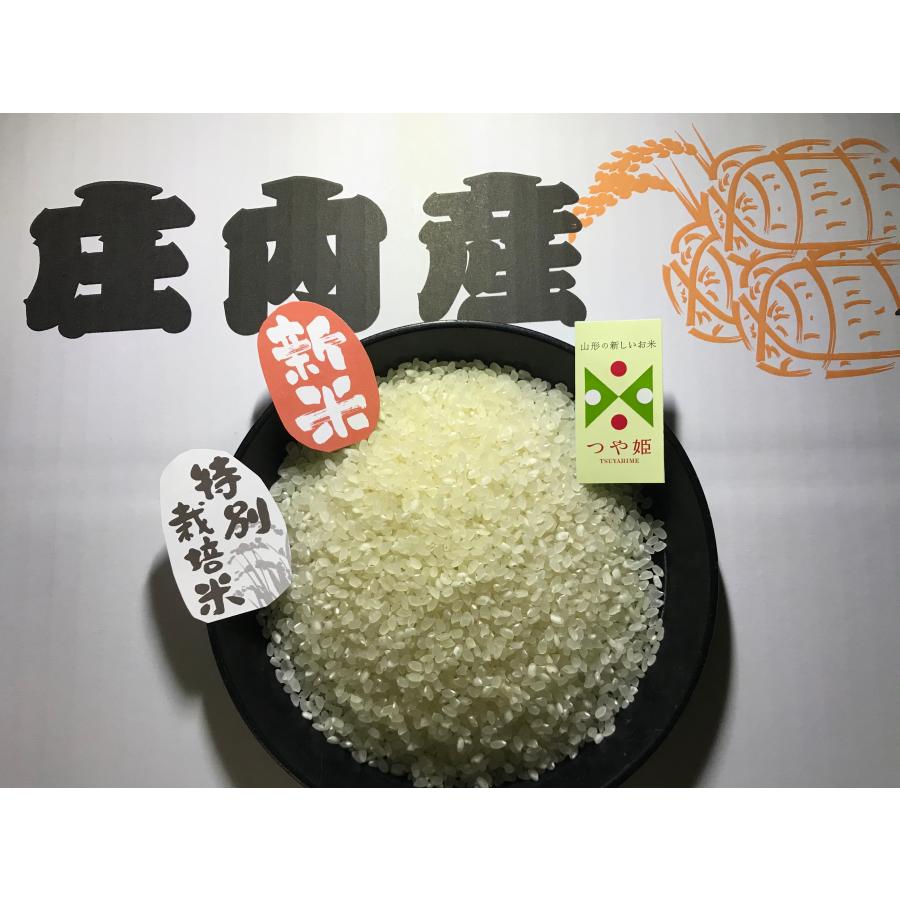 つや姫 新米 米 [送料無料] 山形県 令和7年産 特栽米 1等米 玄米30kg 