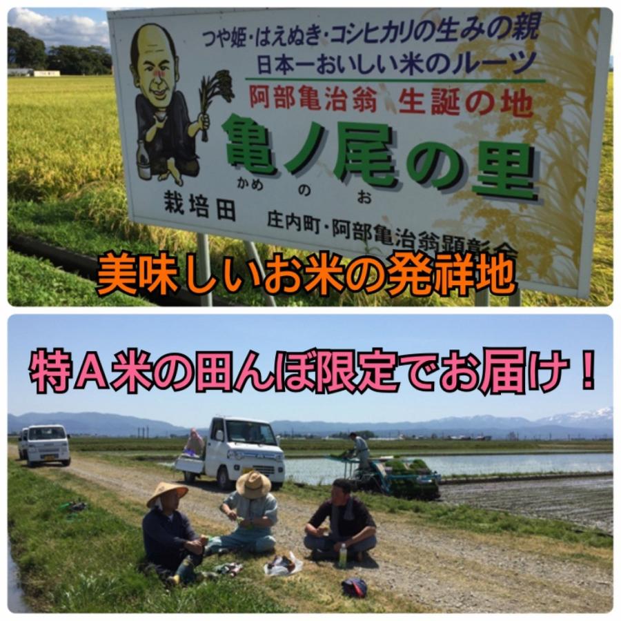 つや姫 新米 米 [送料無料] 特A 農家直送 自家製有機肥料 農薬8