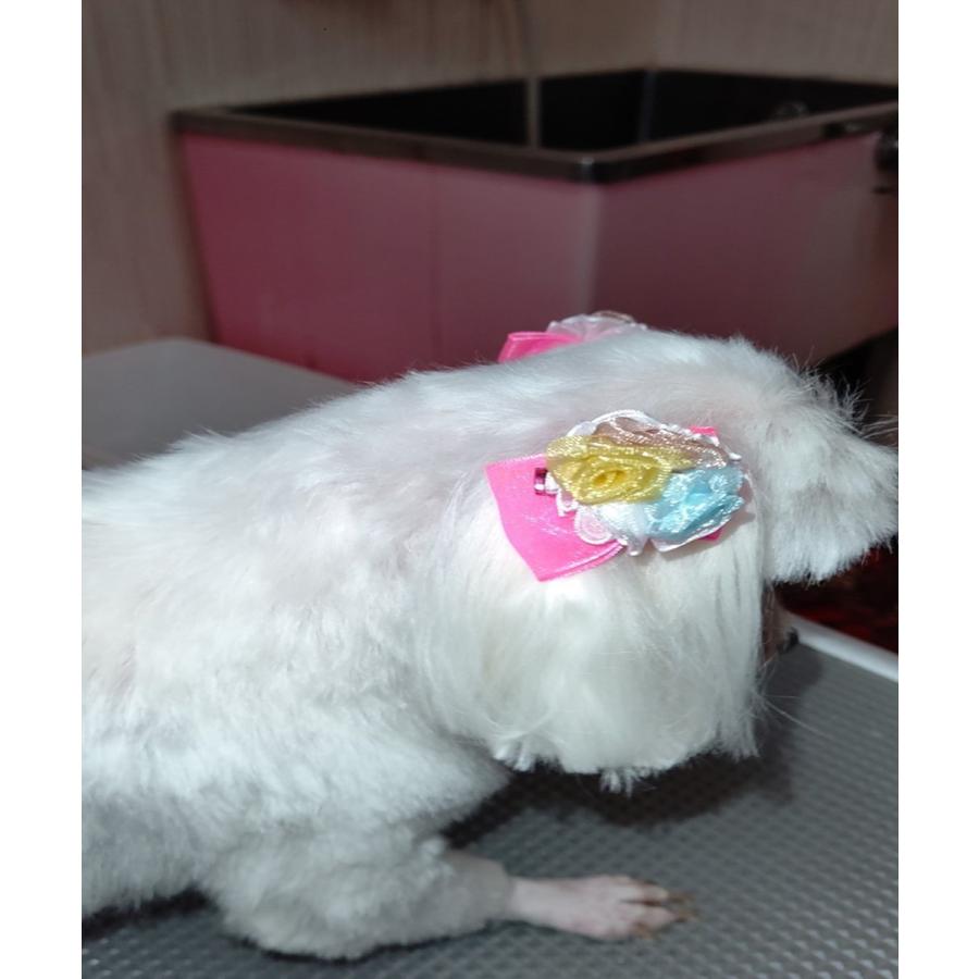 犬 猫 リボン ハンドメイド 商品 髪飾り 20個入り 10 ペア 高級オーガンジー使用 日本製ゴム使用 （混色/女の子Mix ）グリポッチ |  | 11