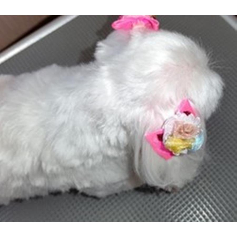 犬 猫 リボン ハンドメイド 商品 髪飾り 20個入り 10 ペア 高級オーガンジー使用 日本製ゴム使用 （混色/女の子Mix ）グリポッチ |  | 08