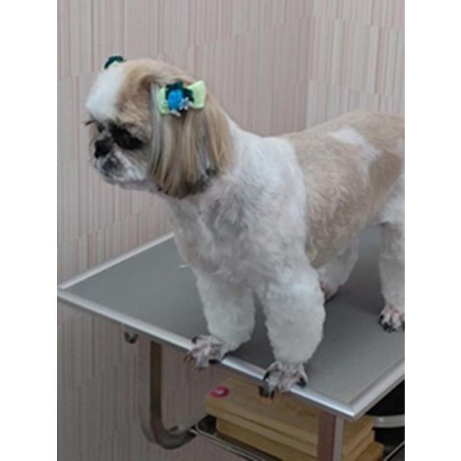 犬 猫 リボン ハンドメイド 商品 髪飾り 20個入り 25ペア 高級オーガンジー使用 日本製ゴム使用 （混色, 男の子女の子Mix ）グリポッチ |  | 07