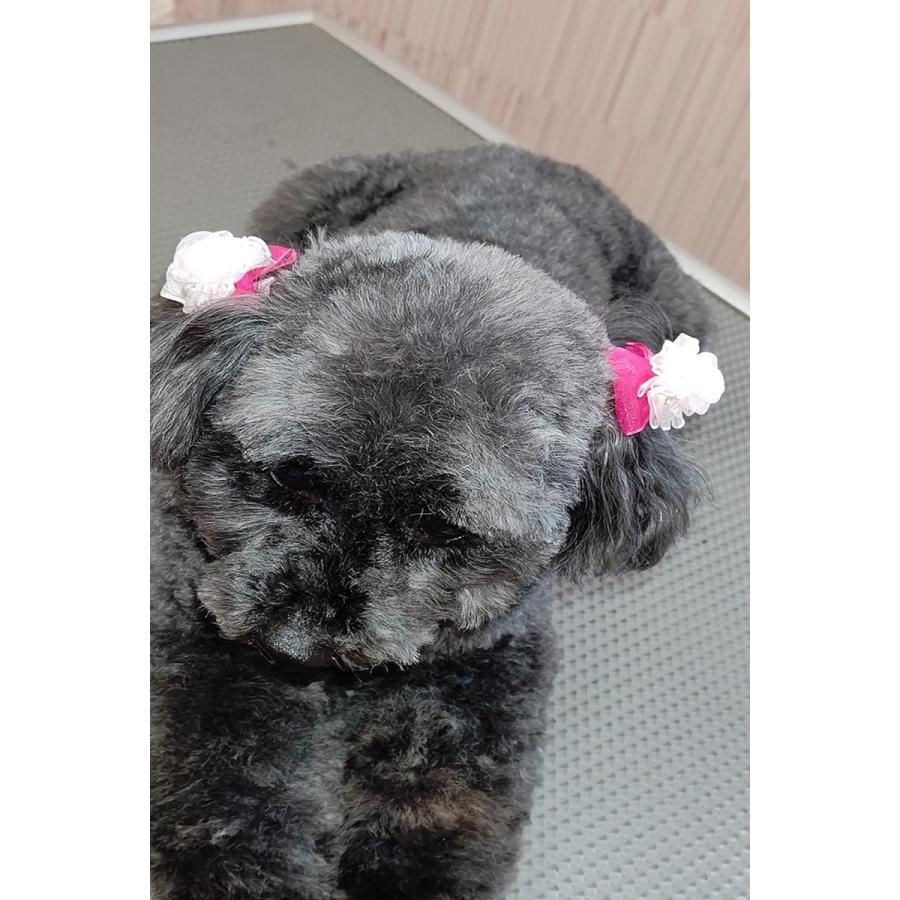 犬 猫 リボン ハンドメイド 商品 髪飾り 20個入り 25ペア 高級オーガンジー使用 日本製ゴム使用 （混色, 男の子女の子Mix ）グリポッチ |  | 08