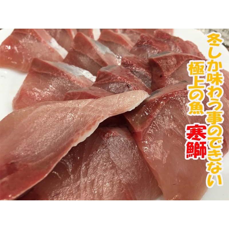 寒ブリ通販 一本釣り 9キロ前後 産地直送 新潟村上 お取り寄せ ぶり 鰤