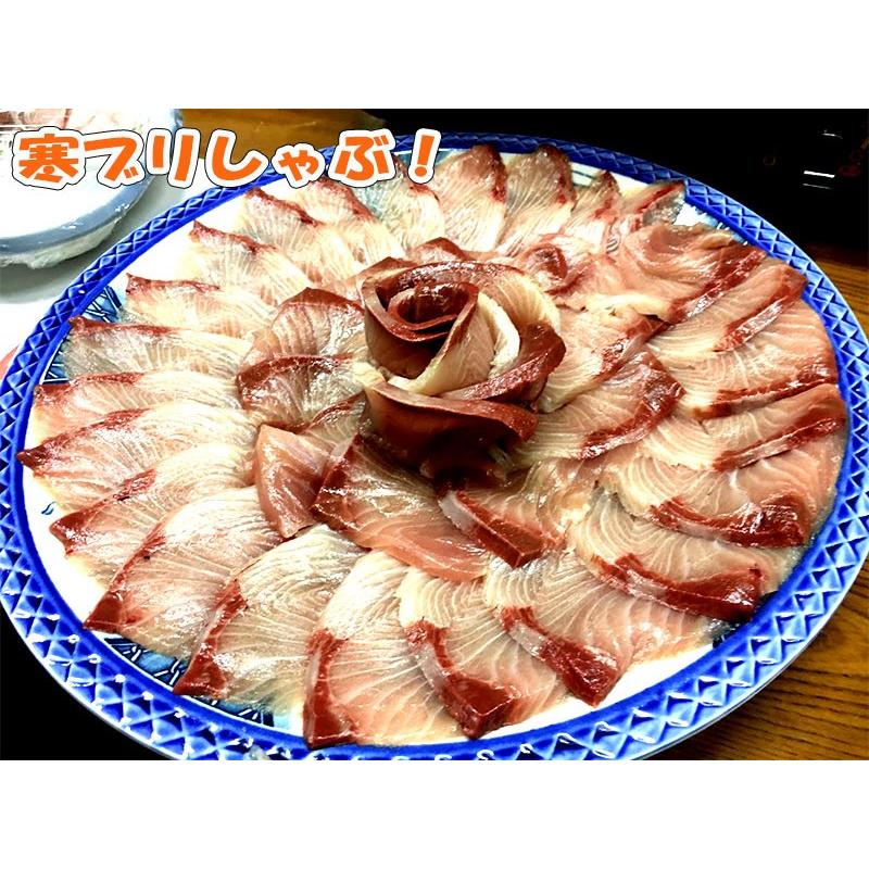 寒ブリ通販 一本釣り 9キロ前後 産地直送 新潟村上 お取り寄せ ぶり 鰤