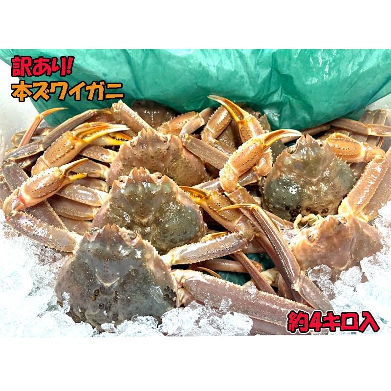 訳あり本ズワイガニ 4キロ入 越後新潟県村上市山北寝屋漁港から産地直送でお取り寄せ ワケアリ 蟹 かに 鍋 しゃぶしゃぶ 条件付送料無料 Wakearihonzuwai 漁師直送昭和丸 通販 Yahoo ショッピング