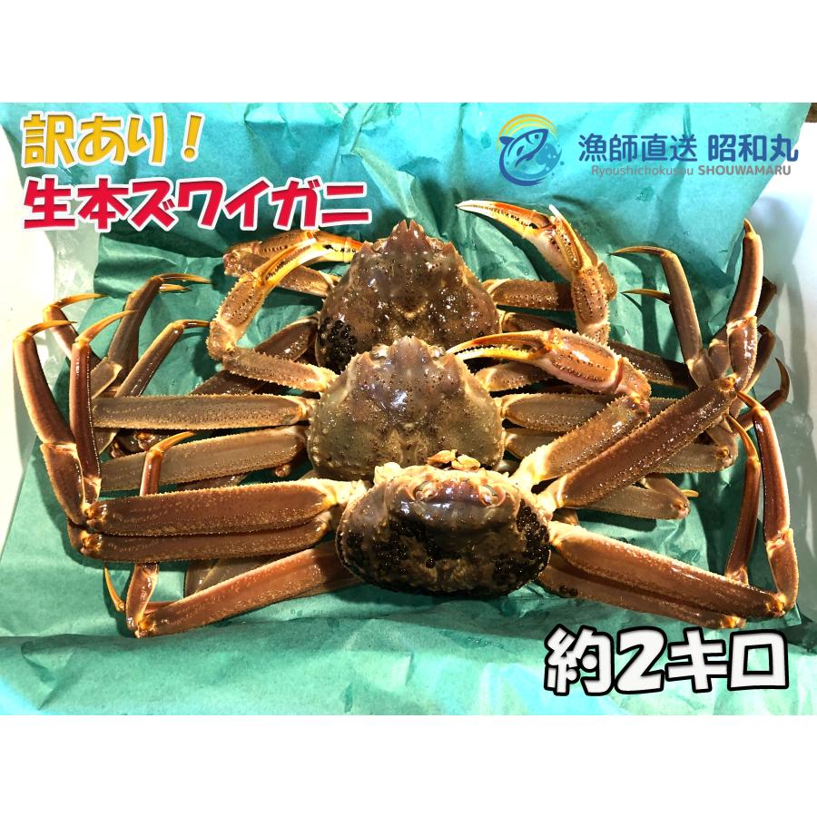 訳あり生本ズワイガニ 2キロ入 越後新潟県村上市山北寝屋漁港から産地直送でお取り寄せ ワケアリ 蟹 かに 鍋 しゃぶしゃぶ 条件付送料無料 Wakearihonzuwai2 漁師直送昭和丸 通販 Yahoo ショッピング
