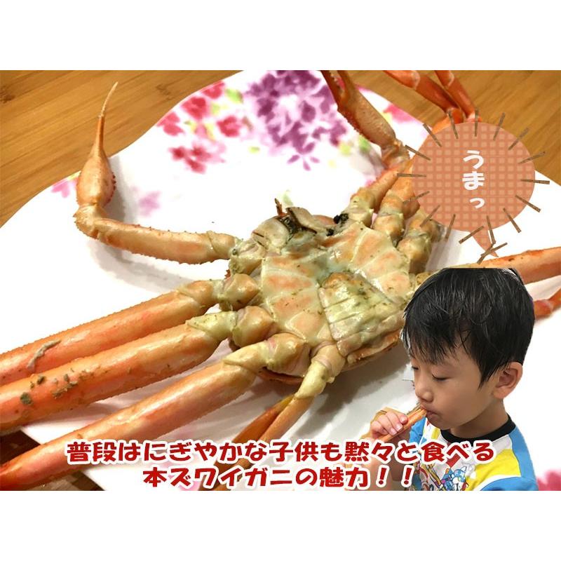 活本ズワイガニ 約700ｇ 2尾 タグ付き 越後新潟県村上市山北寝屋漁港から産地直送でお取り寄せ 日本海 カニしゃぶ カニ刺身 カニ鍋 条件付送料無料 Zuwaigani700 漁師直送昭和丸 通販 Yahoo ショッピング