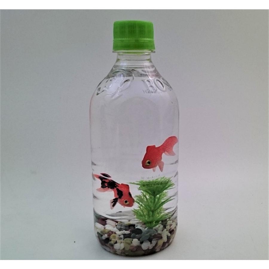 金魚 雑貨 インテリア 置物 セット お買い得市 エサのいらない金魚(出