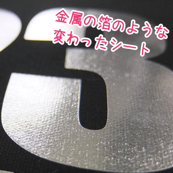 アイロンシート 箔タイプ　金銀　490mm×1m　Siser Foil（シザーホイル） |  | 03