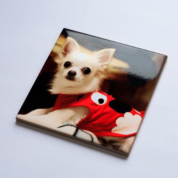 送料無料 フルカラーTシャツ作成セット｜A3対応小型昇華プリンターハンディプレス機セット |  | 11