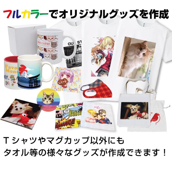 送料無料 フルカラーTシャツ作成セット｜A3対応小型昇華