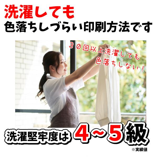 送料無料 フルカラーTシャツ作成セット｜A3対応小型昇華プリンターハンディプレス機セット |  | 05