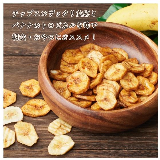 おやつバナナ 塩 230g 1個 バナナチップス ナミナミカット 甘じょっ