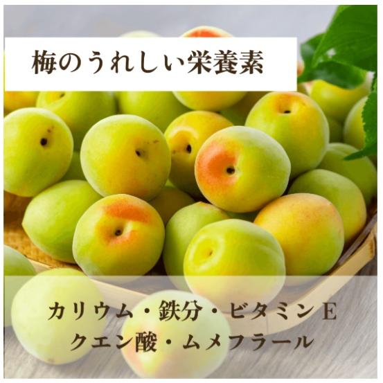 ハッピーカンパニー まろやか梅スティック 75g 6個セット　メール便　送料無料 梅干し 種なし梅 お菓子 うめ 熱中症 対策 お茶請け 梅お菓子　 |  | 06