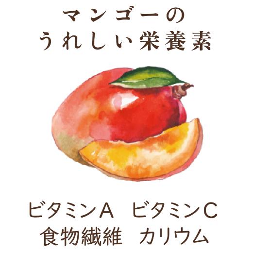 ハッピー　摘果マンゴー③ ドライフルーツ ソフトマンゴー 120g 3袋セット 濃厚 やわらか食感