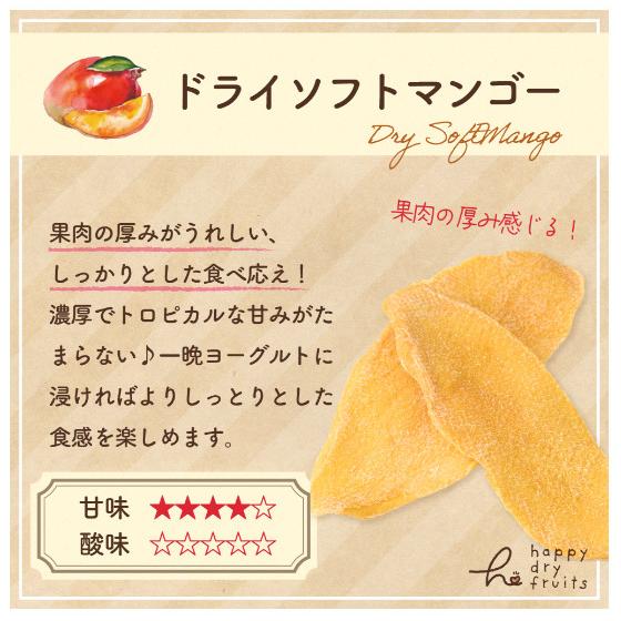 ドライフルーツ ソフトマンゴー 120g 3袋セット 濃厚 やわらか食感