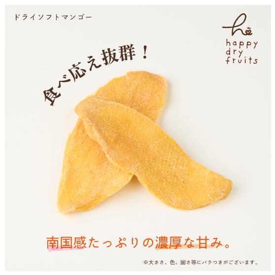 ドライフルーツ ソフトマンゴー 120g 3袋セット 濃厚 やわらか食感