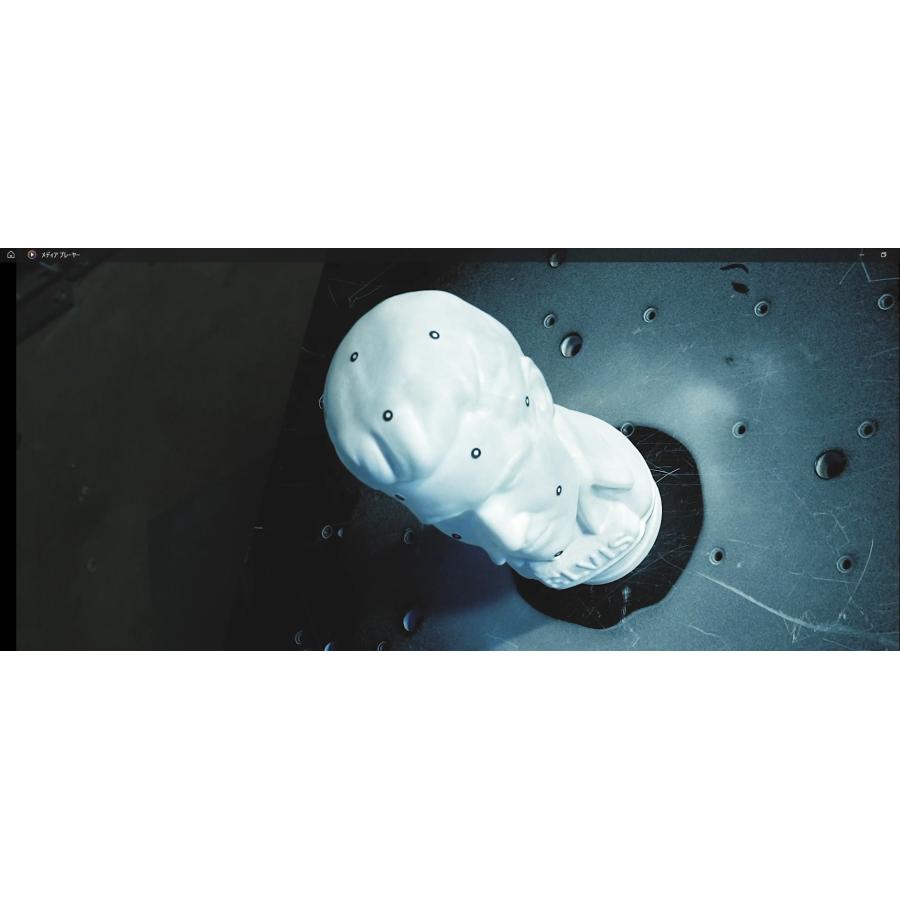 AESUB（エイサブ）バイオレットリキッド　1000ml 3Dスキャナ用反射防止昇華ツール |  | 05