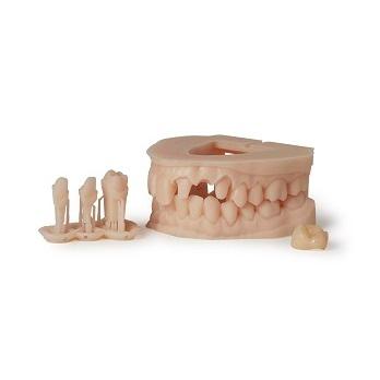 Formlabs モデルV3レジン (高精度・詳細なディテール用 Model V3 Resin 1L) |  | 01