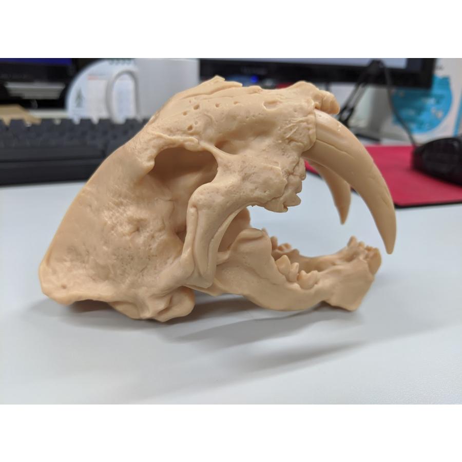 Formlabs モデルV2レジン (高精度・詳細なディテール用  Model Resin 1L) |  | 02