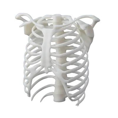 Formlabs ホワイトレジン (スタンダード、白色 White Resin 1L)　V4.1 |  | 01
